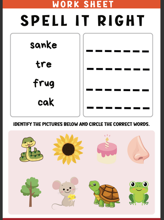 Spell It Right Worksheets – 30+ Fun Exercises to Improve Spelling Skills