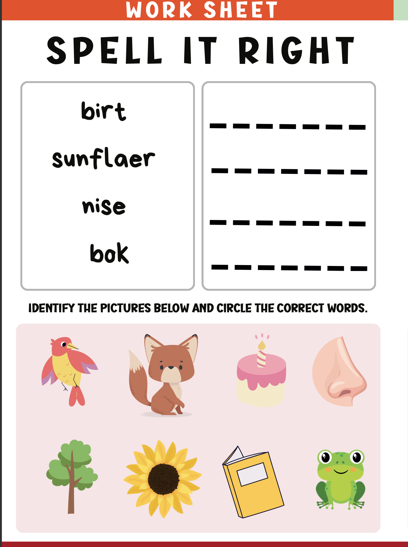 Spell It Right Worksheets – 30+ Fun Exercises to Improve Spelling Skills